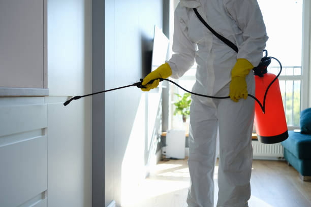 Best Local Mold Removal Service  in Lebanon, IL