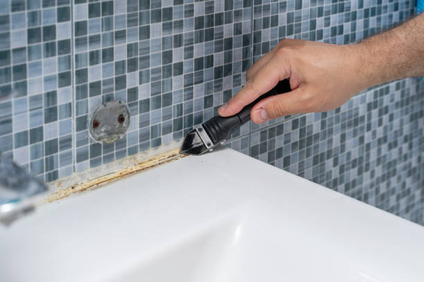 Best Best Mold Removal Companies  in Lebanon, IL