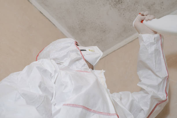 Best Mold Cleaning Services  in Lebanon, IL