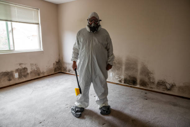 Best Commercial Mold Removal  in Lebanon, IL
